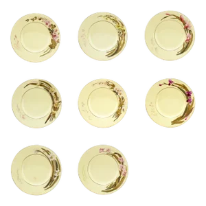 Set of 8 Antique Worcester Porcelain Cabinet Plates With Raised Enamel Flowers