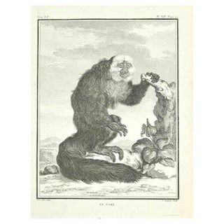 Jean Charles Baquoy, Le Saki, 1771, Etching For Sale