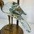 Florence Lamp in Brass with Glass Duck, Italy, 1960s For Sale - Image 6 of 16