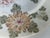 Pair or Antique Japanese Hand Painted Kutani Porcelain Dishes For Sale - Image 10 of 12