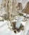 Antique Coastal Cottage 6-Light Iron Chandelier With Seashell Adornments For Sale In West Palm - Image 6 of 12