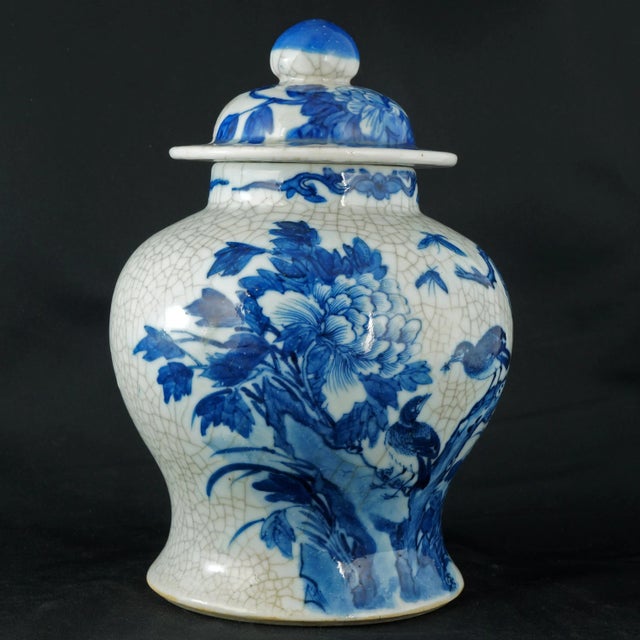 Chinese Chinese Lidded Jar Blue and White With Crackle Kangxi Mark 19th Century For Sale - Image 3 of 13