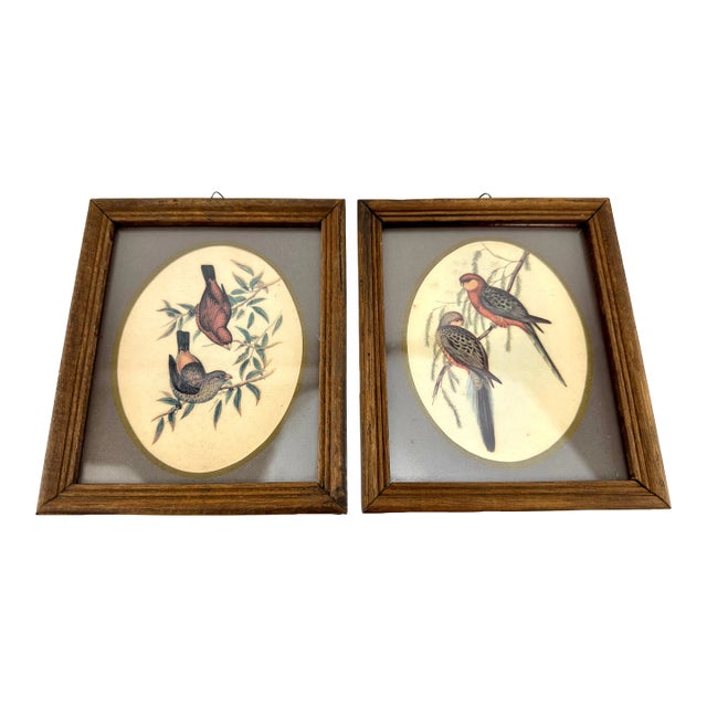 Vintage Mid Century Italian Small Wood Framed Bird Prints, a Pair For Sale