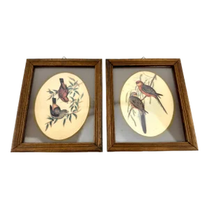 Vintage Mid Century Italian Small Wood Framed Bird Prints, a Pair