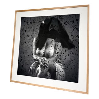 Herman Bertiau, Nude Trouble(s) de la vue, 2010, Photography, Framed For Sale