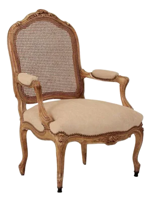 19th Century French Gilt Wood Armchair