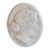 19th Century Italian Oval Relief Plaque of Aphrodite in Profile For Sale