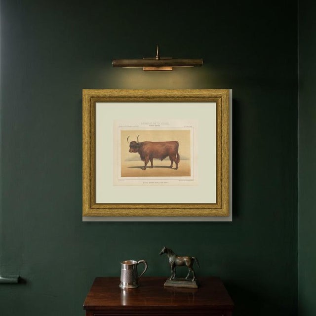 Paper Olivier De Penne, West Highland Ox, Scottish Cattle, 1863, Chromolithograph For Sale - Image 7 of 9