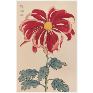 Asian Floral Giclee, Vintage Japanese Red Botanical Art Print, 8" X 12" For Sale