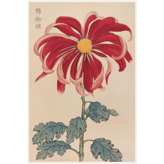 Asian Floral Giclee, Vintage Japanese Red Botanical Art Print, 8" X 12" For Sale