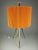 Mid-Century Tripod Floor Lamp, 1950s For Sale - Image 13 of 13