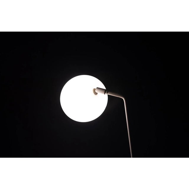 Metal Postmodern Halogen Floor Lamp from Hala Zeist, 1980s For Sale - Image 7 of 11