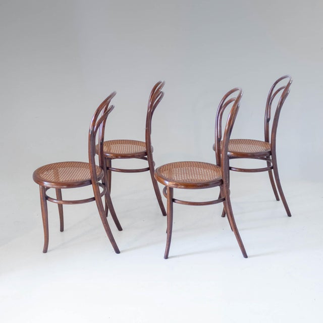 Modern Antique Bentwood and Cane Dining Chairs by Josef Hoffmann, 1900s, Set of 4 For Sale - Image 3 of 16