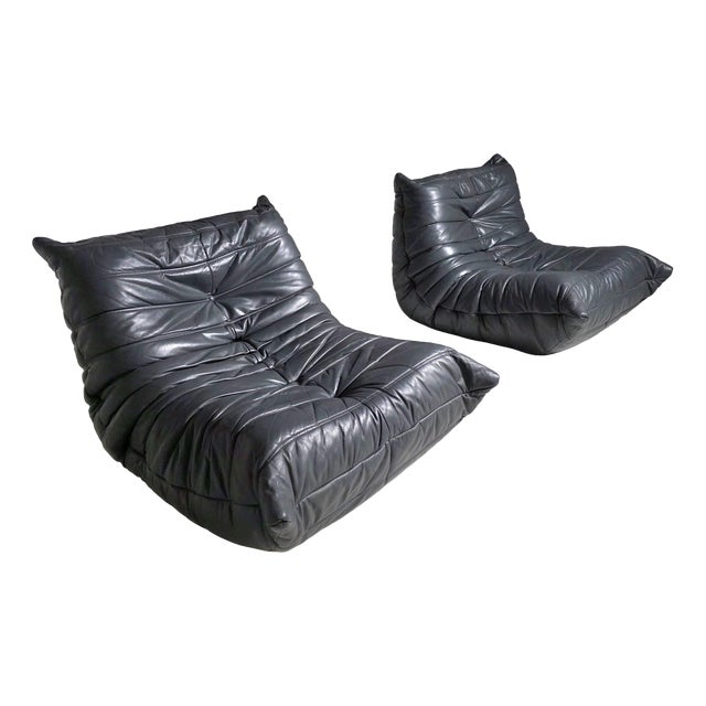 Grey/Blue Togo Chairs by Michel Ducaroy for Ligne Roset, 1980s, Set of 2 For Sale