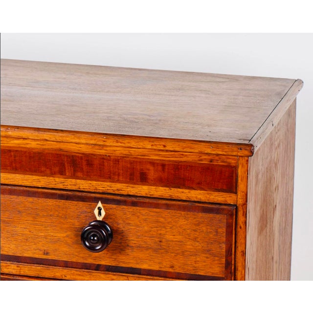 English Two-Tone Oak Chest of Drawers, 19th Century Country House Chest With Mahogany Crossbanding For Sale In Los Angeles - Image 6 of 11