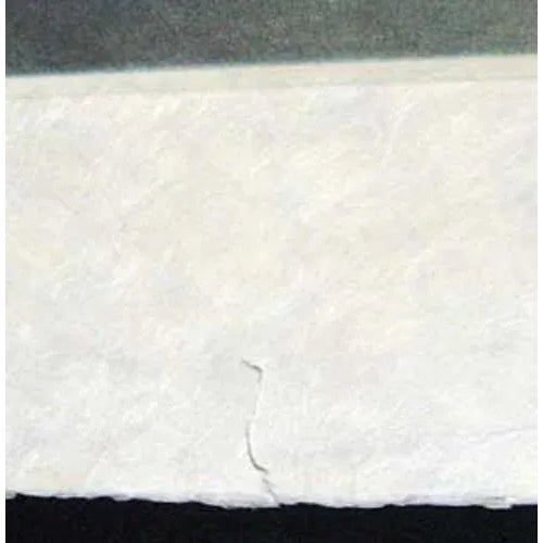 Late 20th Century "Les Tulipes" Floral Etching by Kaiko Moti For Sale In Denver - Image 6 of 6