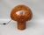 An exceptional mushroom lamp by Peill & Putzler from the 1970s. It emits a warm, pleasant, and glare-free light. The lamp...