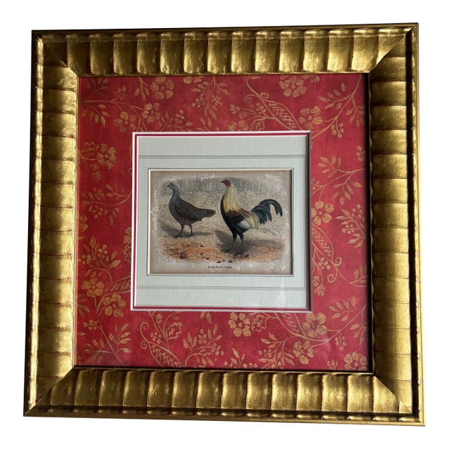 Hand-Colored Print of Exotic Chickens For Sale