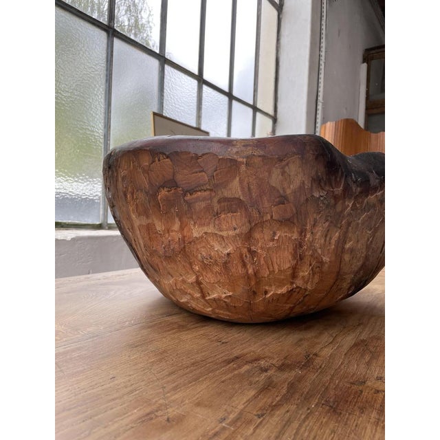 Cedar Root Wooden Flat Dish, 1950s For Sale - Image 11 of 18