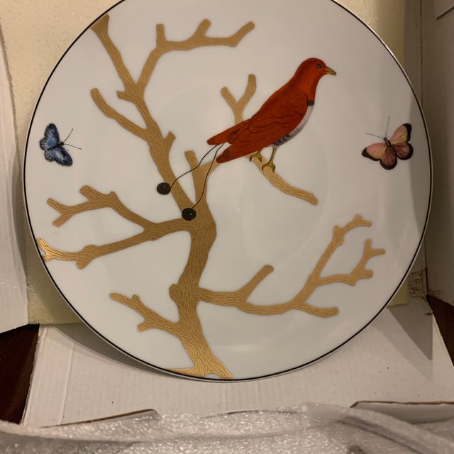 L. Bernardaud and Co. Bernardaud Birds of Paradise Salad Plates - 6pcs with Box For Sale - Image 4 of 6