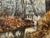 Original watercolor on textured paper depicting a wooded landscape with a narrow reflective stream, small white...