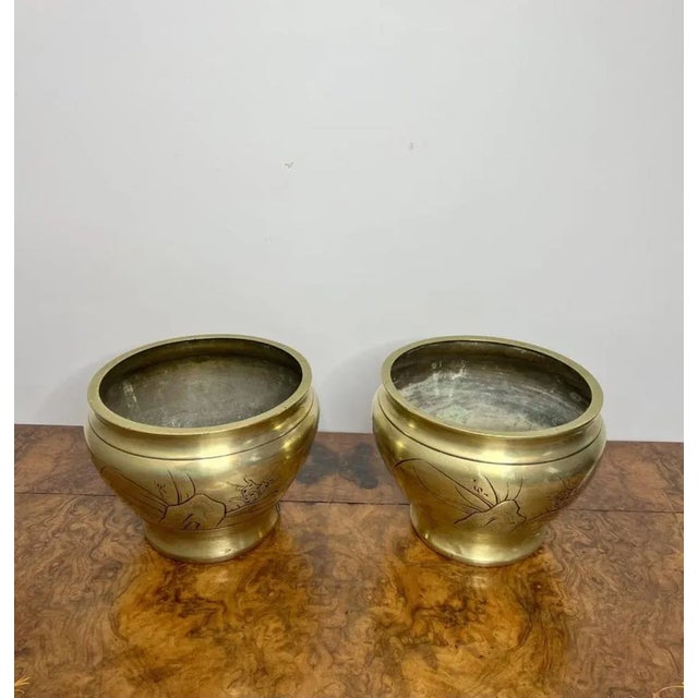 Metal Edwardian Brass Jardinieres, 1900, Set of 2 For Sale - Image 7 of 8
