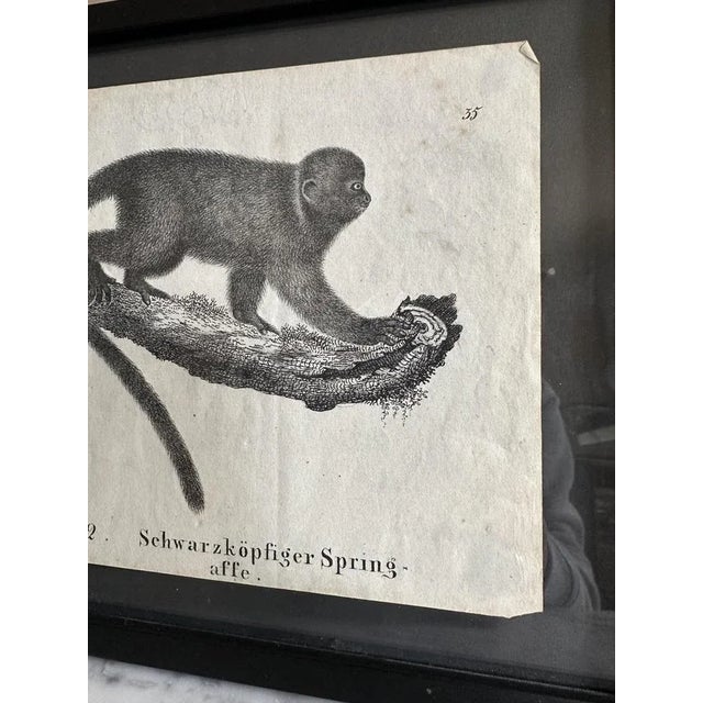 Transport yourself to the Biedermeier era with this exquisite and rare original lithograph from the book "Neue...