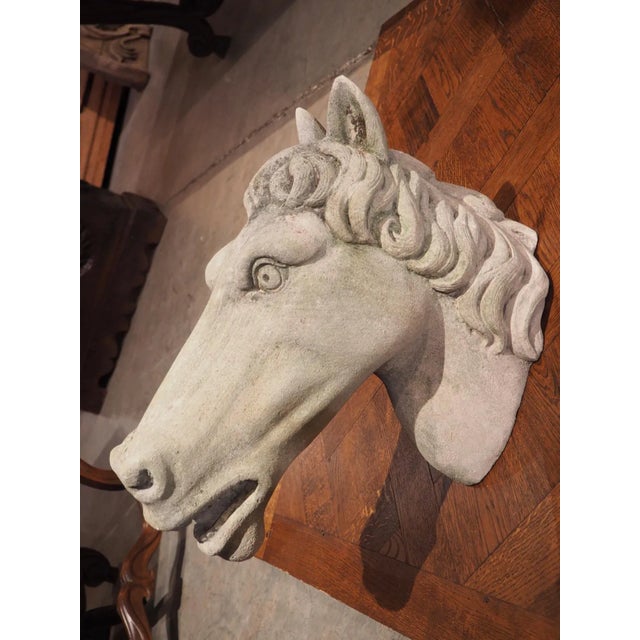 Carved Limestone Horsehead From Italy For Sale - Image 9 of 13
