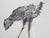 Cesar, Poule en marche, Lithograph For Sale - Image 5 of 9