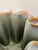 Mid-Century Modern French Ceramic Vase by B. Letalle for Saint-Clément, 1950s For Sale - Image 4 of 18