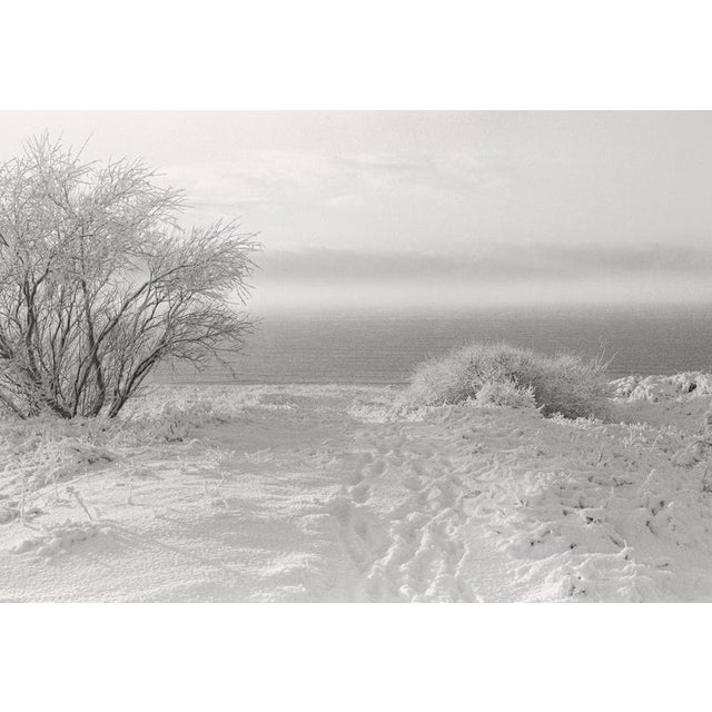 Baltic freeze #3' 2022 a photograph captured with a 35mm camera showcases the winter landscape of lithuania in black and...