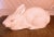 Porcelain White Bunny Rabbit Gold Accent For Sale In Fayetteville, AR - Image 6 of 6