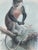 Green Antique Monkey Macau’s Chromolithographs Smith & Hnarth - a Pair For Sale - Image 8 of 9