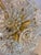 Chandelier Pusteblume from VEB Kristalleuchte Ebersbach For Sale - Image 5 of 11