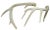 1990s Natural Antlers – a Pair For Sale - Image 5 of 5