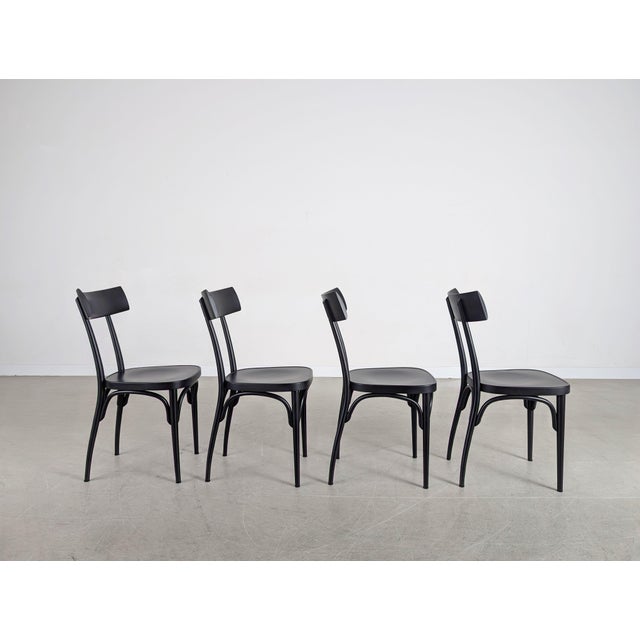 Wood Chairs by Hermann Czech for Gebrüder Thonet Vienna Gmbh, Vienna, Set of 4 For Sale - Image 7 of 13
