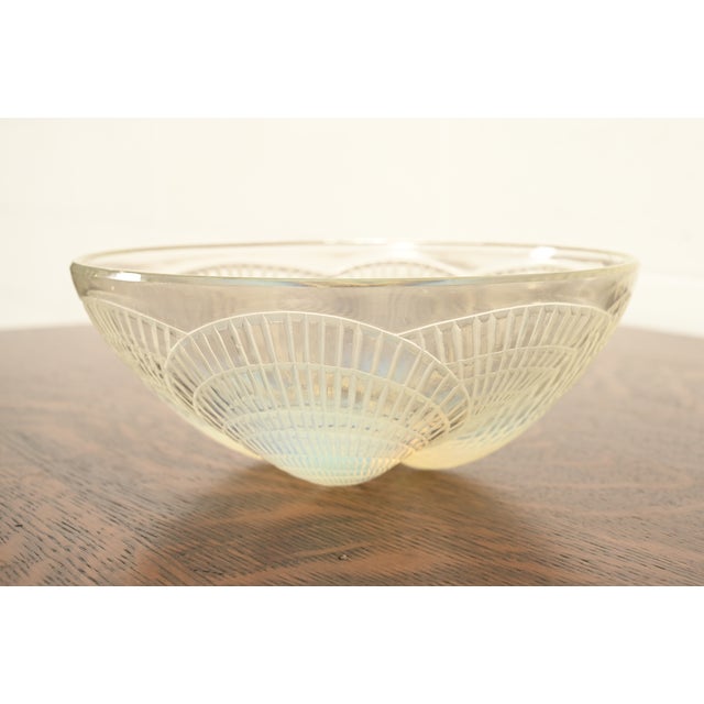 René Lalique "Coquilles" Art Deco Opalescent Glass Bowl, Circa 1920s For Sale - Image 13 of 13