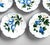 Beautiful set of twelve (12) Italian Umbrian faience plates. Each hand‑painted plate adorned with a blue fruit motif —...