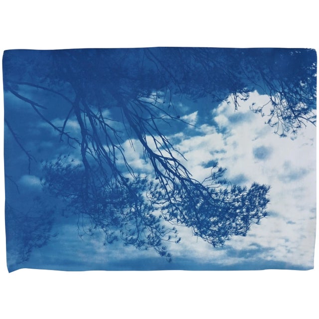 Malibu Pine Sea Vier 100x70cm, Hand Painted Cyanotype on Watercolor Paper, Limited Edition, Coastal Living Art For Sale