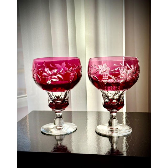 Vintage Vignes Ruby Crystal Wine Goblets from Val Saint Lambert, 1950, Set of 10 For Sale - Image 10 of 18