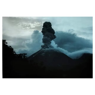 AH, Nature Image, 1976, Photographic Print For Sale