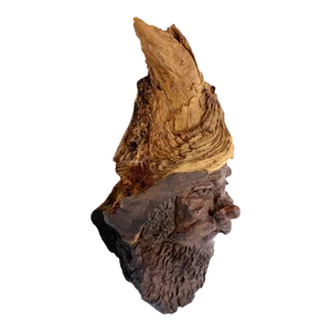 Early 20th Century Detailed Burl Wood Carving of an Elf or Gnome Face Sculture
