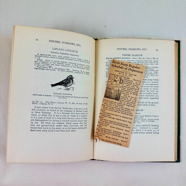 Antique American Bird Study Nature Books, 1909-1935, a Group of Four For Sale - Image 9 of 10