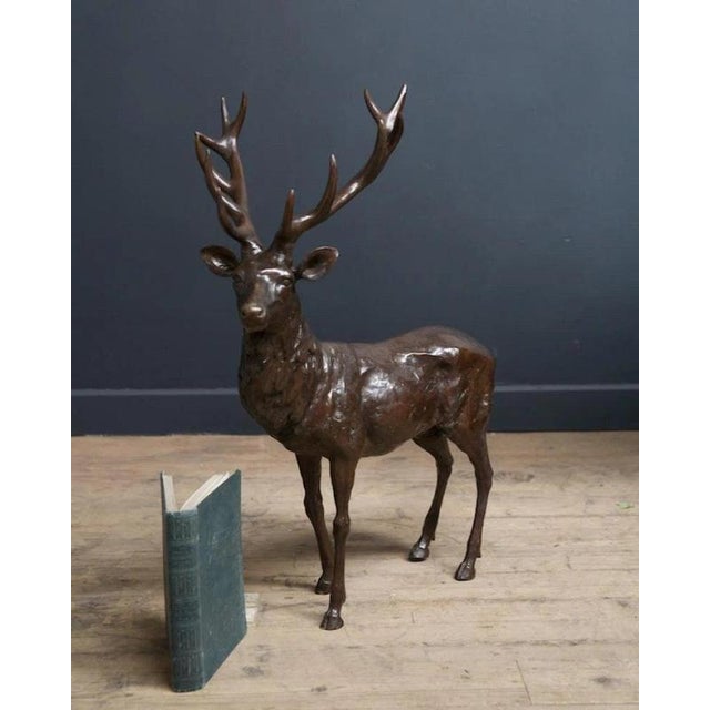 Stag Sculpture in Bronze For Sale - Image 4 of 13