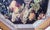 Traditional Vintage Decoupage Durwin Rice Designs Decoupage Plate W/ Birds & Fruit For Sale - Image 3 of 5