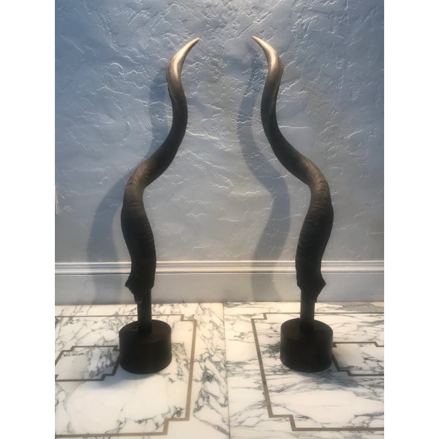 Pair (2) Exotic African Lesser Kudu horn sculptures resting on steel cylinder stands. Stunning from all angles, beautiful,...