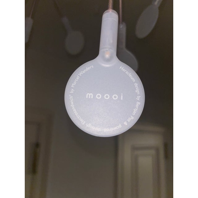 Modern Mooi Herculeum II Chandelier in Copper Finish. (Small) For Sale - Image 3 of 3