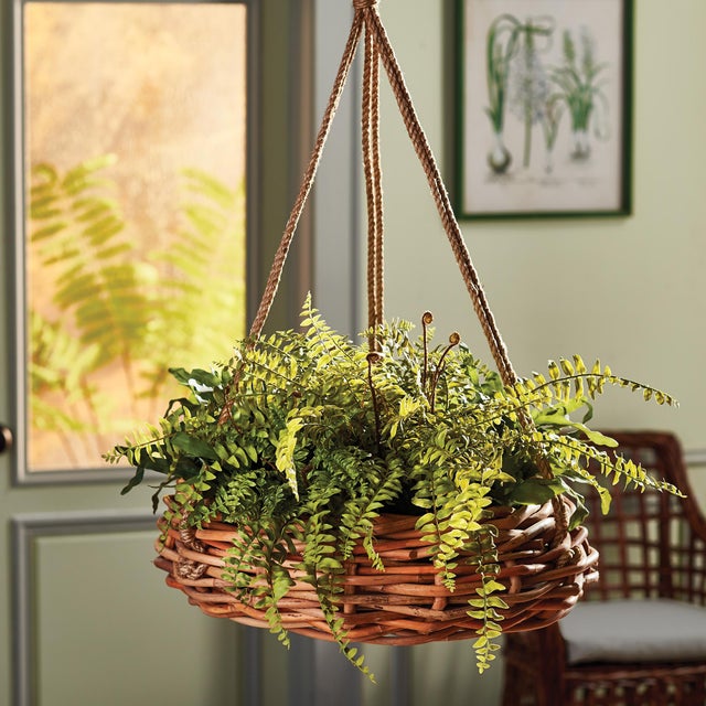 Generous in scale, this thickly woven rattan hanging basket is perfect for geraniums or ferns. Complete with a rustic...