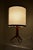 Mid-Century Table Lamp from Uluv Krasna Jizba, 1960s For Sale - Image 13 of 18