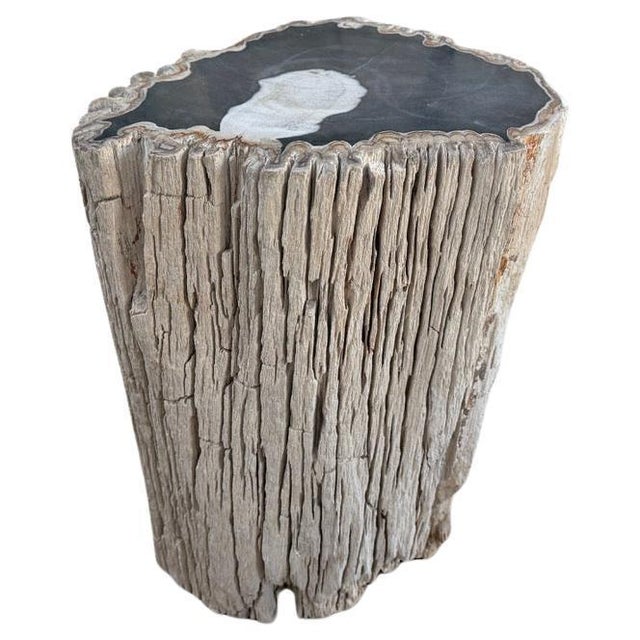 Andrianna Shamaris Abstract High Quality Petrified Wood Side Table For Sale In New York - Image 6 of 18